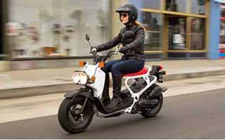 Picture Of Put-in-Bay Mopeds For Rent