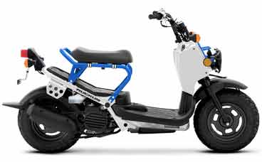 Moped Rentals - Photo of a white and blue Honda Ruckus for rent.