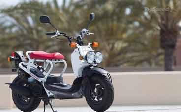 Moped Rentals - Photo of a Honda Ruckus for rent.