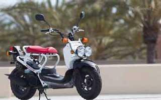 Moped Rentals - Photo of a Honda Ruckus for rent.